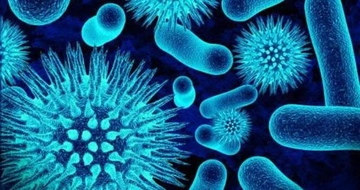 Corona Virüsü Belirtileri ve Tedavisi